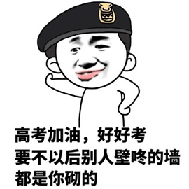 高考 加油 好好考 要不以后 别人壁咚的墙 都是 你砌的