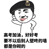 高考 加油 好好考 要不以后 别人壁咚的墙 都是 你砌的