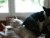着实 宠物 恶搞 搞笑 萌 gif