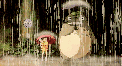 龙猫 下雨 雨伞 直视