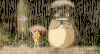 龙猫 下雨 雨伞 直视