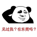 见过我在东莞吗   熊猫人  斗图   摸头  装逼
