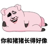 金馆长 搞笑 逗比 你和猪猪长的好像