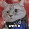萌宠 喵星人 没得感情 冷漠 呆萌 可爱