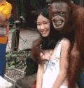 美女 猩猩 拍照 好色
