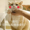 萌宠 猫星人 请问您可以和我恋爱吗 好奇 呆萌 可爱