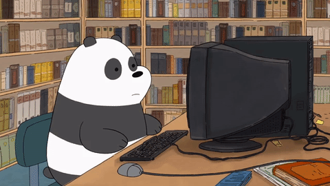 咱们裸熊 熊猫 打电脑
