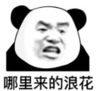 暴漫 文字表情包 哪里来的浪花 搞笑 沙雕 魔性