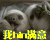 树獭 我hin满意 开心 高兴
