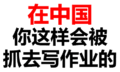 在中国你这样会被抓去写作业的 纯文字 恶搞 逗比