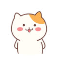 小猫咪 可爱 搞笑 开心 斗图 萌萌哒 耶