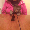 小猫 巧克力 扑倒 吃掉