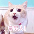 猫咪 恶搞 喵叫 臭男人