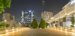城市 日本 日本横滨城市风光 树木 灯光 纪录片 道路