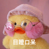 玻尿酸鸭 可爱 萌萌哒 目瞪口呆