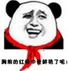 熊猫头 红领巾 跟鲜艳了 斗图 搞笑 猥琐