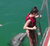 女孩 开心 海豚 搞笑