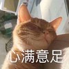 萌宠 猫星人 心满意足 开心 呆萌 可爱