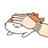 仓鼠 可爱 温顺 抚摸