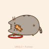 猫 萌萌哒 可爱 呆萌