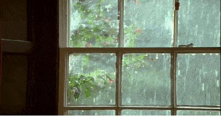 窗外 下雨 绿叶 小花