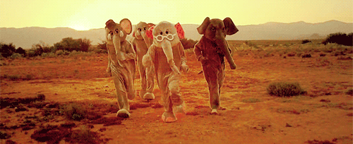 沙漠 大象 人 奔跑 玩偶 可爱