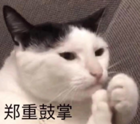 搞笑 可爱 蠢萌 猫星人 逗