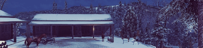 景色 房子 下雪 树木