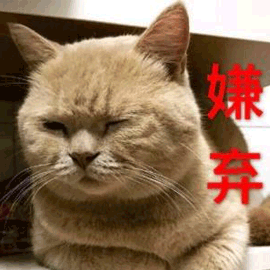 嫌弃 猫 拒绝