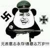 熊猫人 当兵 枪 元首意志永存德意志万岁