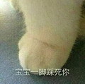 宝宝一脚 踩死你 斗图 搞笑 猫咪 可爱