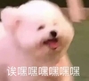 萌宠 猫星人 嘿嘿嘿 开心 搞怪 逗