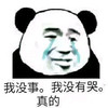 暴漫 熊猫头 我没事 我没有哭 搞怪 逗