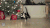 喵星人 捣乱 圣诞树 圣诞 节日 christmas
