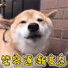 萌宠 狗狗 开心 笑容 逐渐 变态 soogif soogif出品