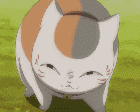 猫咪 动画 害羞 猫猫