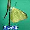 孤独的等待你的到来 表情 表情包 爱情 伤感