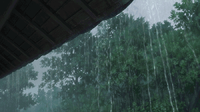 下雨天 屋檐 雨水 树木