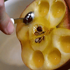 苹果 挖下来 小勺子 水果