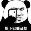 暴漫 熊猫头表情包 拍下犯罪证据 搞怪 逗 沙雕