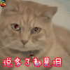 soogif soogif出品 伤心 说多了都是泪