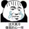 熊猫头 暴漫 这天真冷像我的心一样 搞笑 逗 魔性