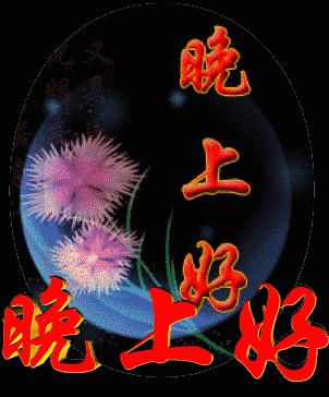晚上好GIF表情图_晚上好动态图刘涛芈传月表情包_晚上好GIF动图片