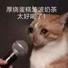 萌宠 猫星人 奶茶太好喝了 心动 呆萌 可爱