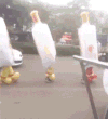 搞笑 酒瓶 马路 逗比