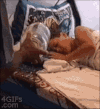 吓一跳 可怕  好玩 呆萌 滑稽