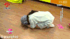 RUNNINGMAN