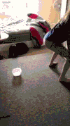 搞笑 逗逼 雷人 极品