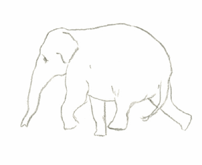 大象动起来 简笔画 卡通
