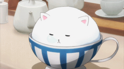 杯子 猫咪 冒泡 茶壶